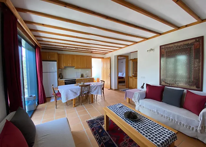 Lamin House
